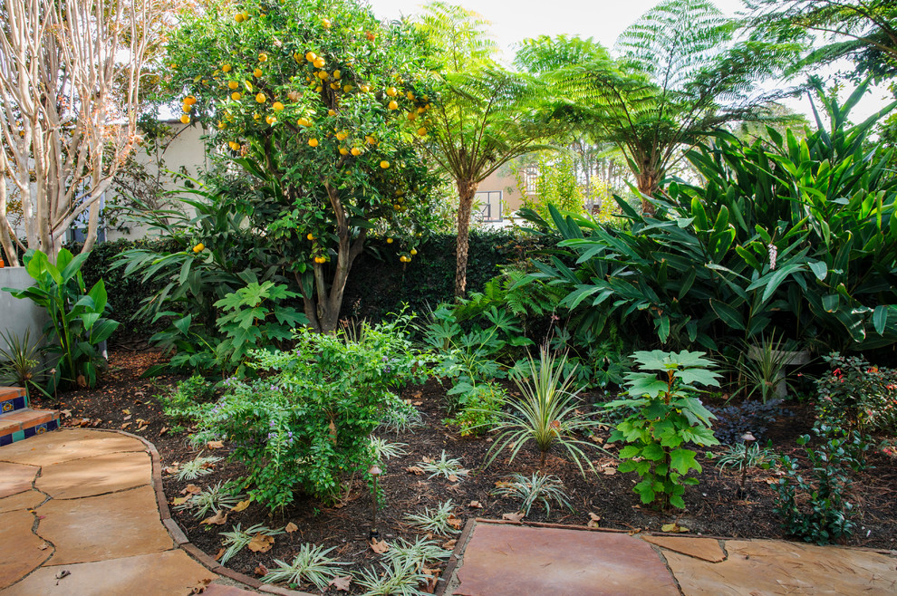 Idéer för att renovera en mellanstor tropisk trädgård i delvis sol, med en trädgårdsgång och naturstensplattor