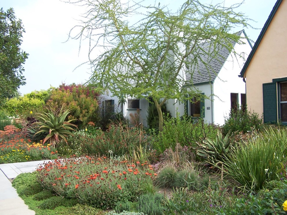 Foto di un giardino xeriscape mediterraneo esposto in pieno sole di medie dimensioni e davanti casa in inverno con pavimentazioni in cemento
