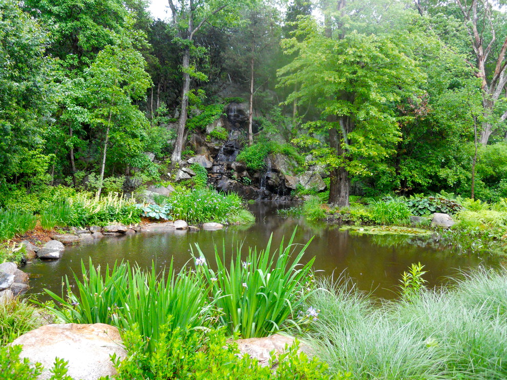 Cette image montre un grand jardin arrière chalet avec un point d'eau et une exposition partiellement ombragée.