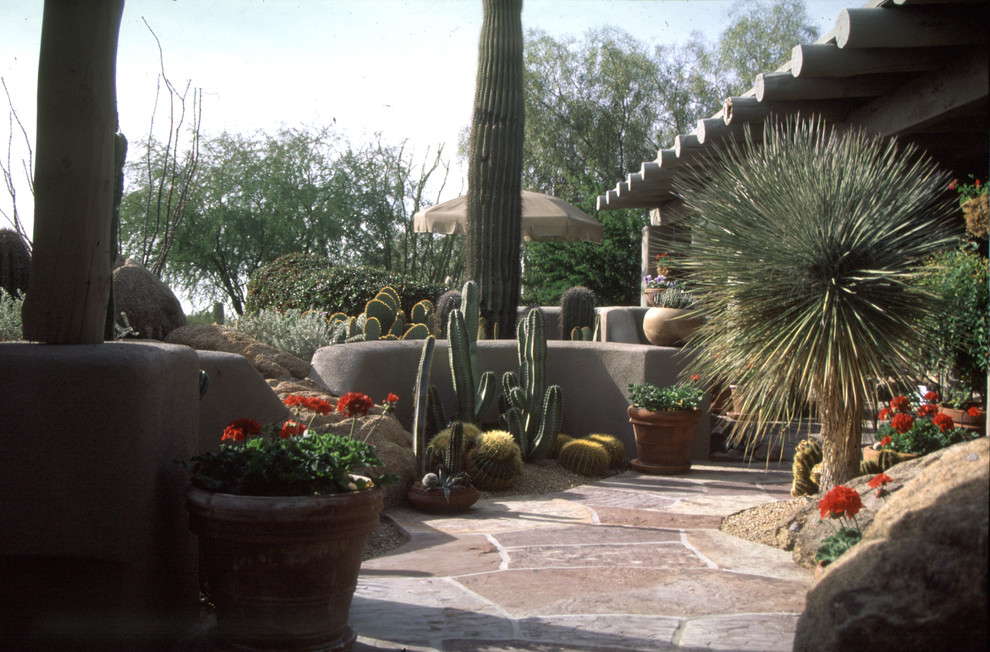 フェニックスにある高級な小さな、冬のサンタフェスタイルのおしゃれな裏庭 (ゼリスケープ、擁壁、日向、天然石敷き) の写真