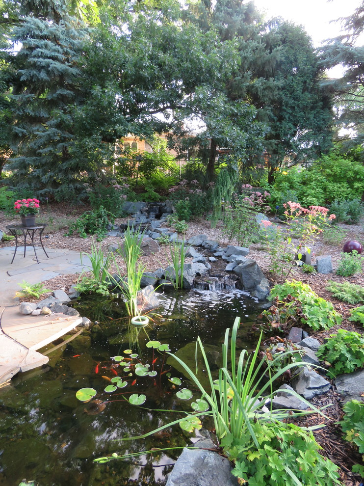 Foto di un giardino eclettico esposto in pieno sole di medie dimensioni e dietro casa