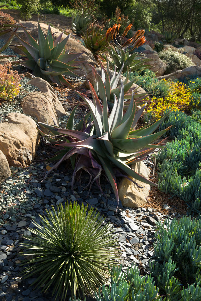 Foto di un grande giardino xeriscape stile americano esposto in pieno sole con ghiaia