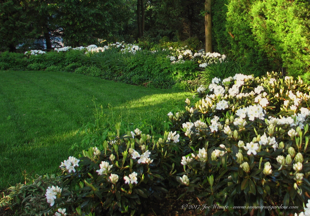 Immagine di un giardino country esposto a mezz'ombra di medie dimensioni e davanti casa
