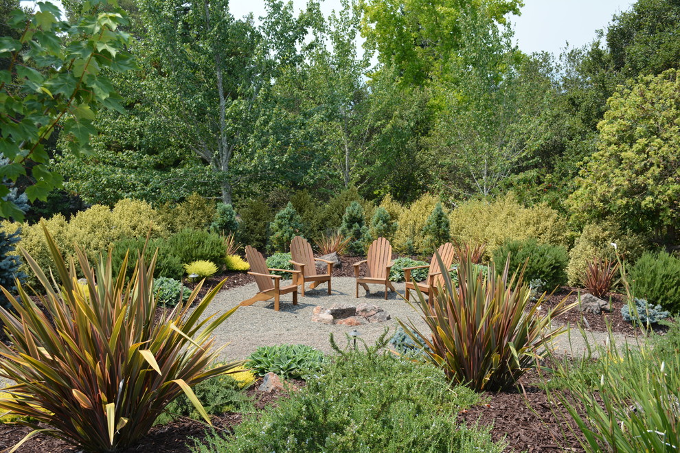 Mittelgroßer Rustikaler Garten mit Feuerstelle und direkter Sonneneinstrahlung in San Francisco