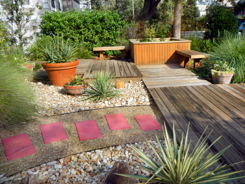 На фото: солнечный засухоустойчивый сад среднего размера на переднем дворе в современном стиле с пустынными растениями, хорошей освещенностью и покрытием из гравия с