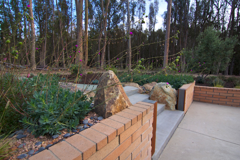 Contemporary garden in San Luis Obispo.