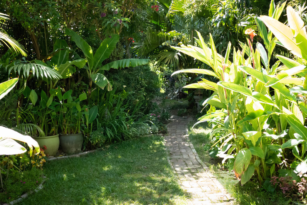 Foto de jardín tropical grande en patio trasero con camino de entrada, exposición parcial al sol y adoquines de ladrillo