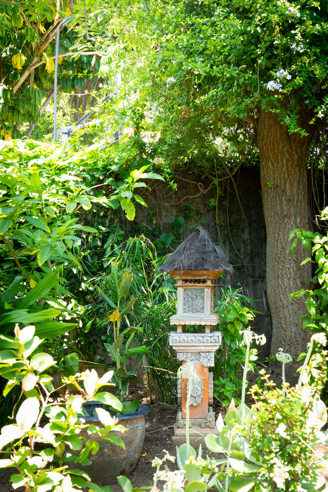 Imagen de jardín exótico en patio trasero con estanque y exposición parcial al sol