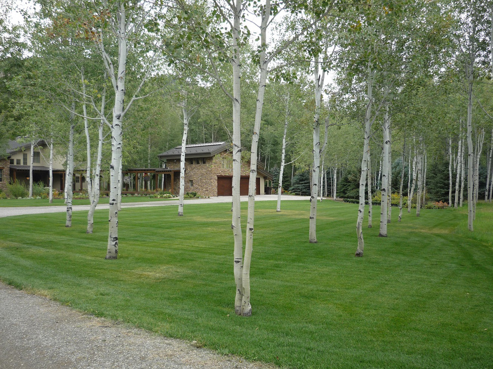 This is an example of a traditional landscaping in Boise.