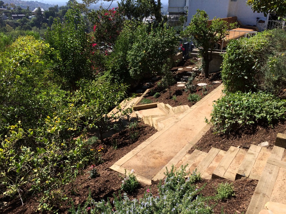 Geometrischer, Mittelgroßer Moderner Gartenweg im Frühling, hinter dem Haus mit direkter Sonneneinstrahlung und Pflastersteinen in Los Angeles
