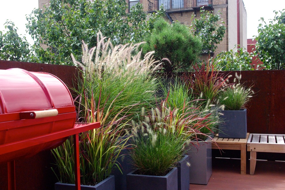 Idee per un giardino moderno esposto in pieno sole sul tetto e di medie dimensioni con un giardino in vaso e pedane