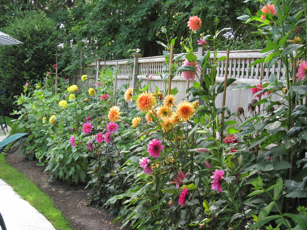 This is an example of a contemporary garden in Boston.