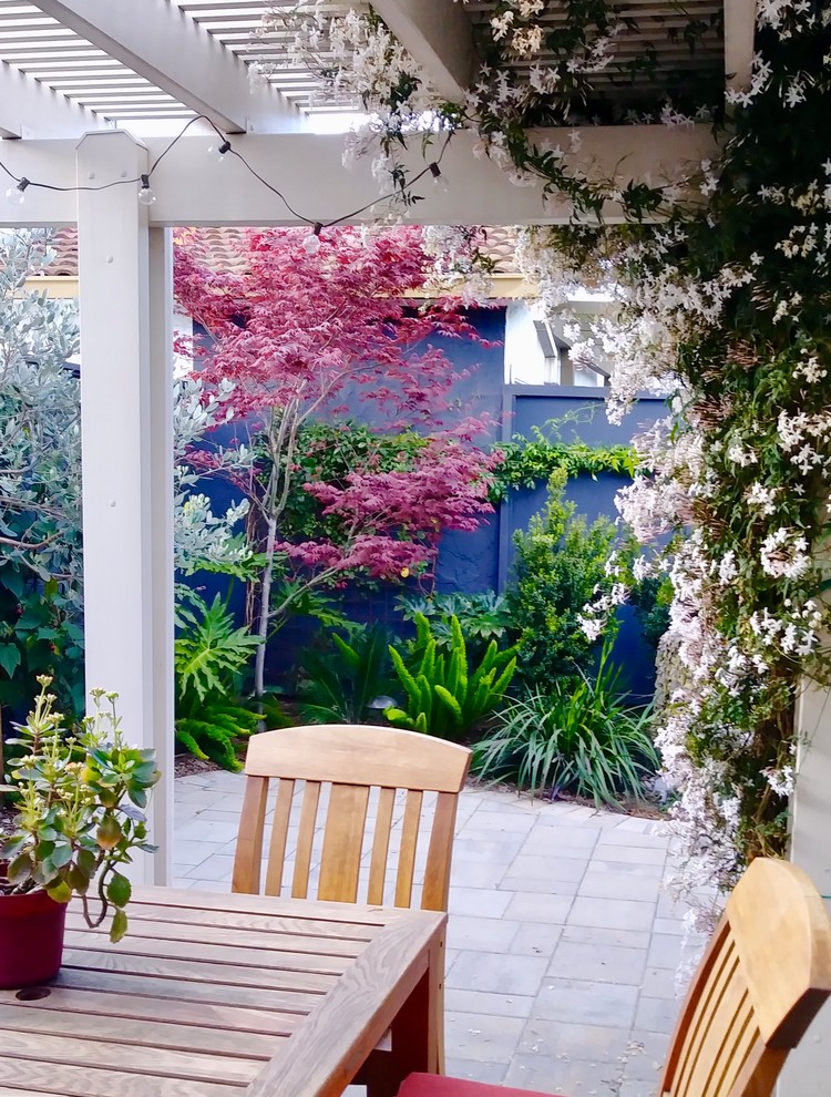 Diseño de jardín contemporáneo pequeño en patio trasero con adoquines de hormigón