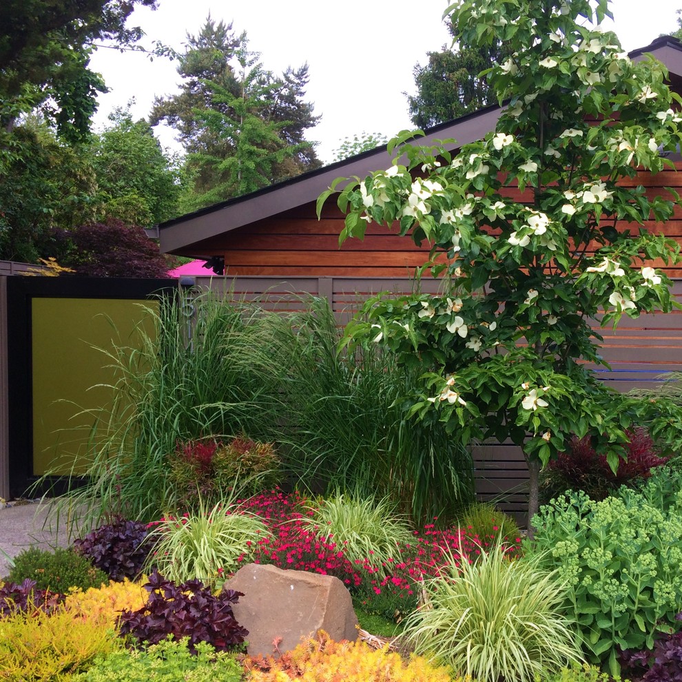 Moderner Vorgarten im Frühling mit direkter Sonneneinstrahlung in Seattle