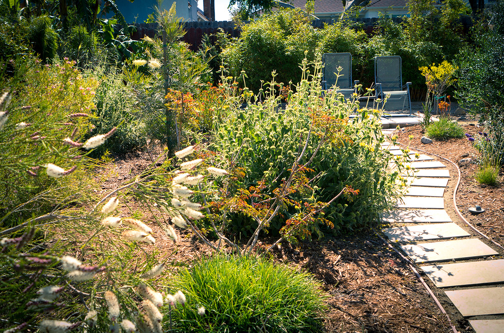 Modelo de camino de jardín de secano contemporáneo de tamaño medio en patio trasero con adoquines de hormigón