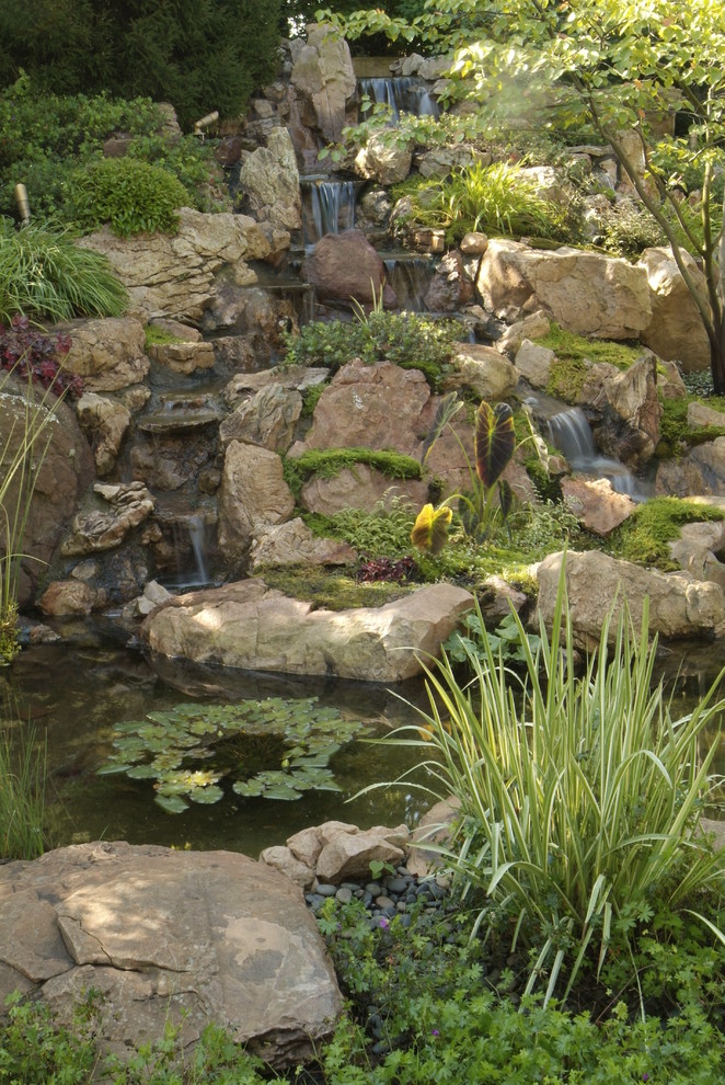 Источник вдохновения для домашнего уюта: сад с прудом среднего размера на заднем дворе в стиле рустика с полуденной тенью