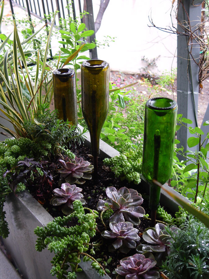 Design ideas for a contemporary landscaping in Los Angeles.