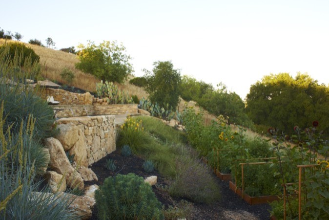 Immagine di un grande giardino xeriscape mediterraneo esposto a mezz'ombra con un pendio, una collina o una riva e pavimentazioni in pietra naturale