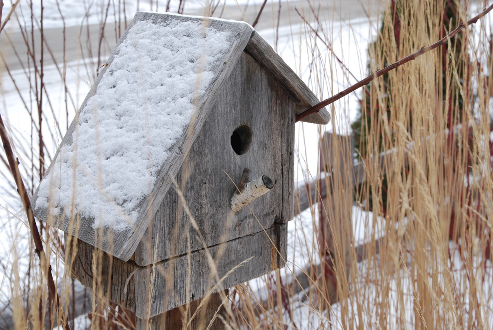 Inspiration for a traditional landscaping in Burlington.
