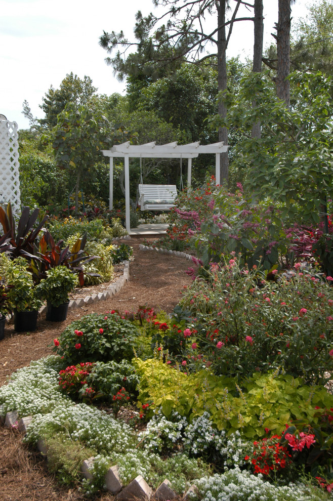 Imagen de jardín exótico en patio trasero con exposición parcial al sol