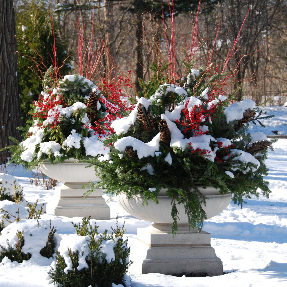 Ispirazione per un grande giardino tradizionale davanti casa in inverno con un giardino in vaso