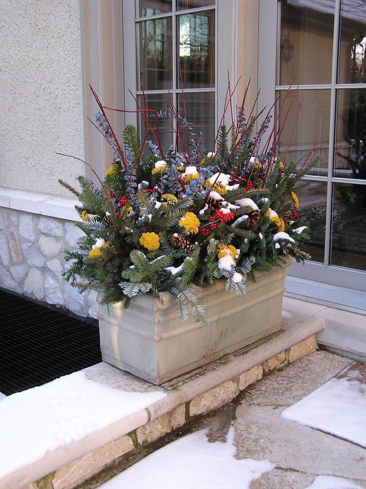 Inspiration for a traditional landscaping in Chicago for winter.