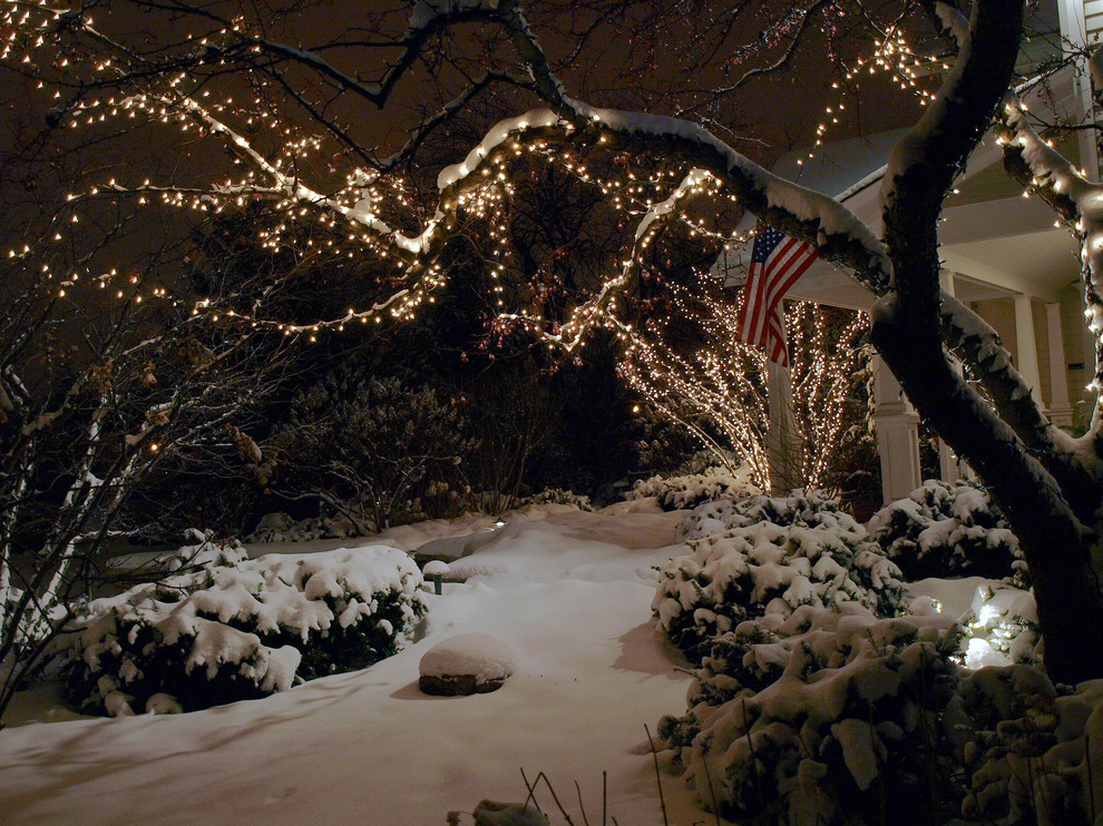 This is an example of a mid-sized traditional front yard landscaping in Chicago for winter.