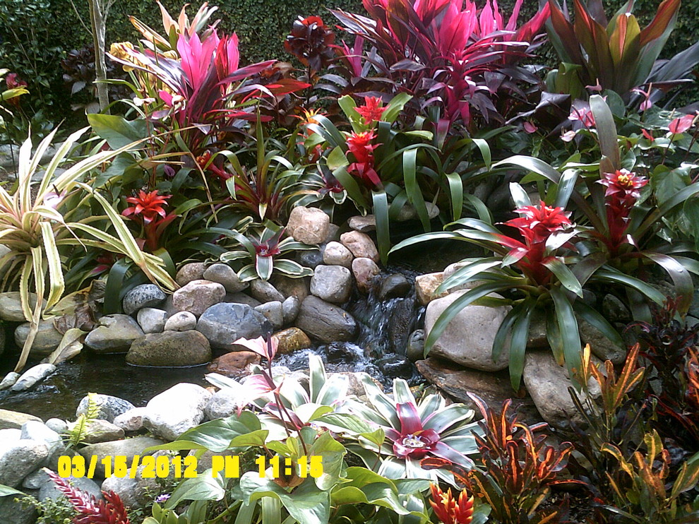 This is an example of a tropical landscaping in Orlando.