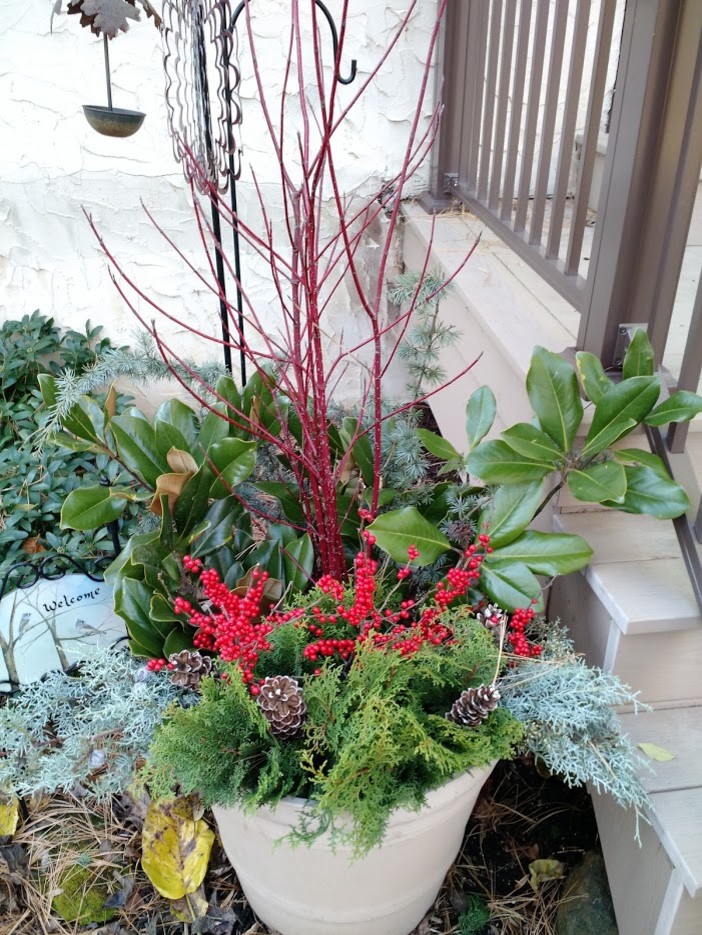 Cette image montre un petit jardin en pots avant traditionnel l'hiver.