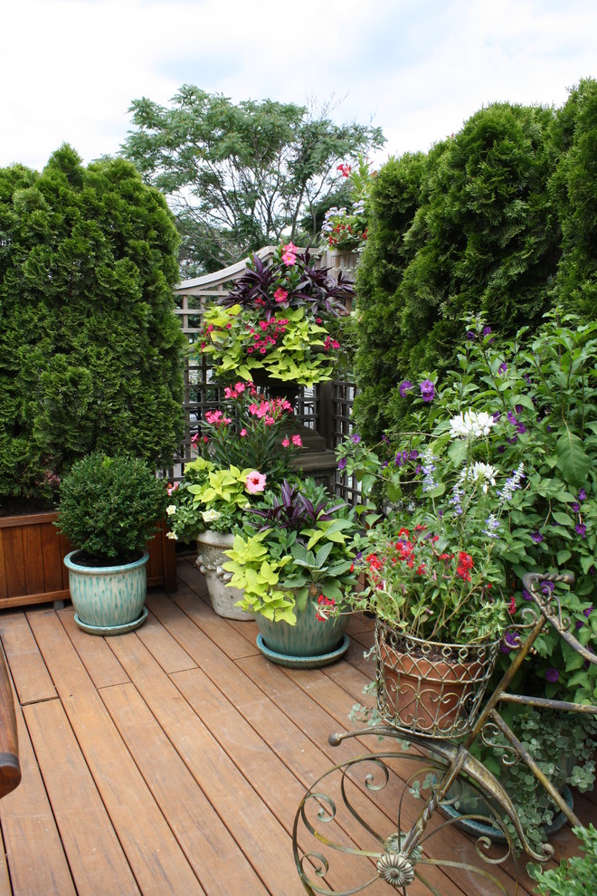 Réalisation d'un jardin tradition avec une terrasse en bois.