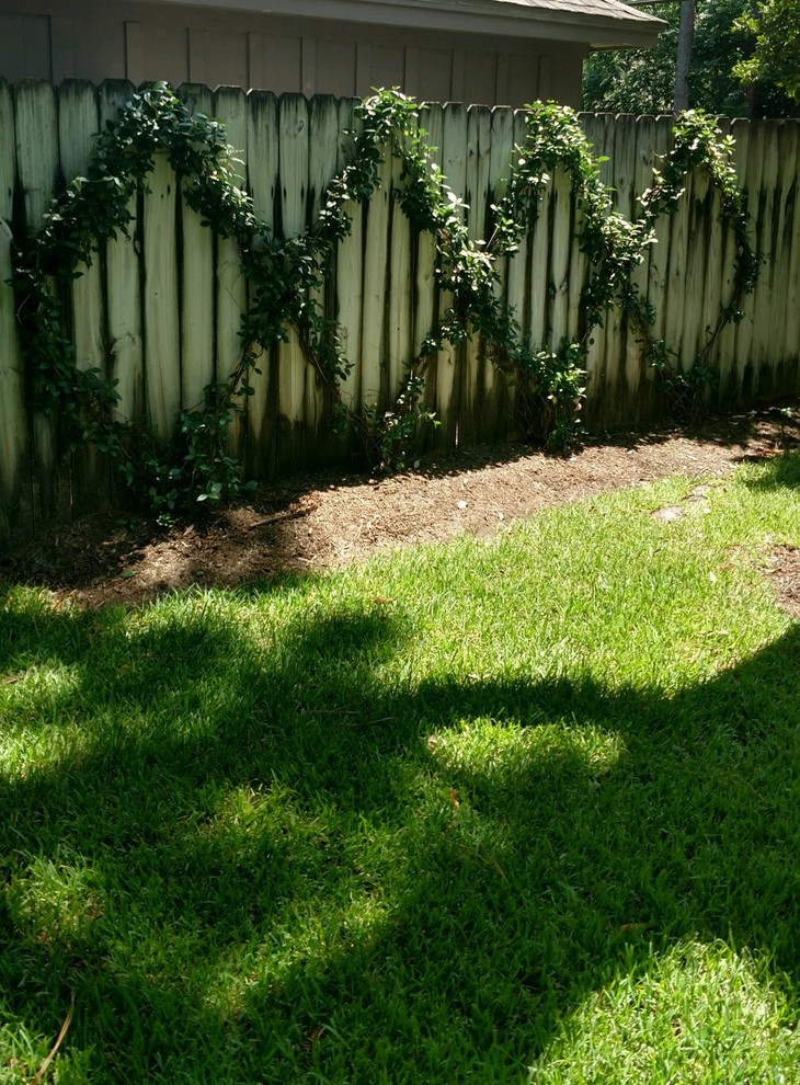 Imagen de jardín contemporáneo pequeño en primavera en patio trasero con exposición parcial al sol