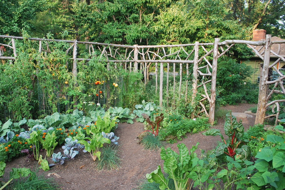 Idéer för att renovera en trädgård i full sol, med en köksträdgård