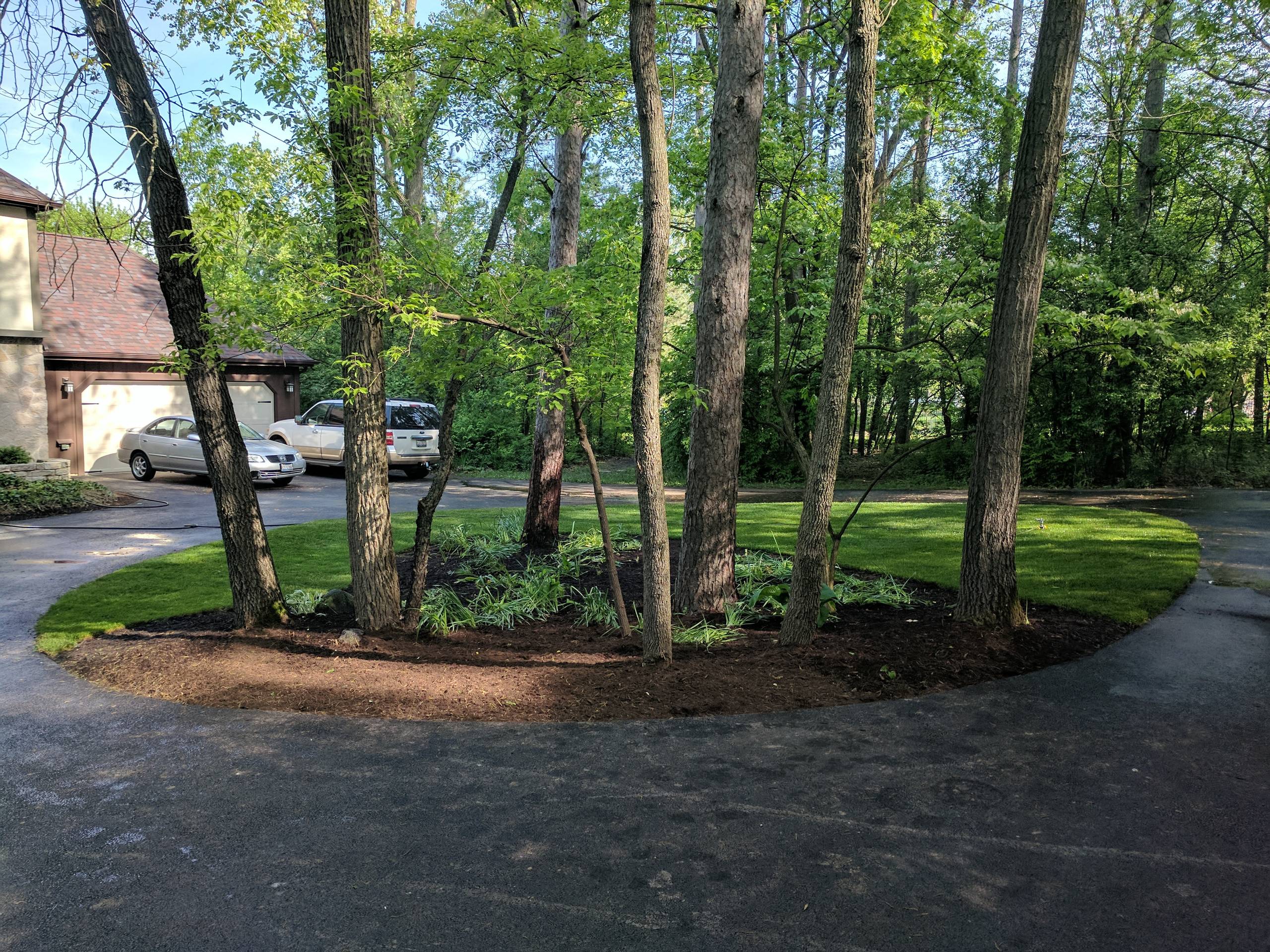 Wooded Lot Landscaping Ideas Houzz