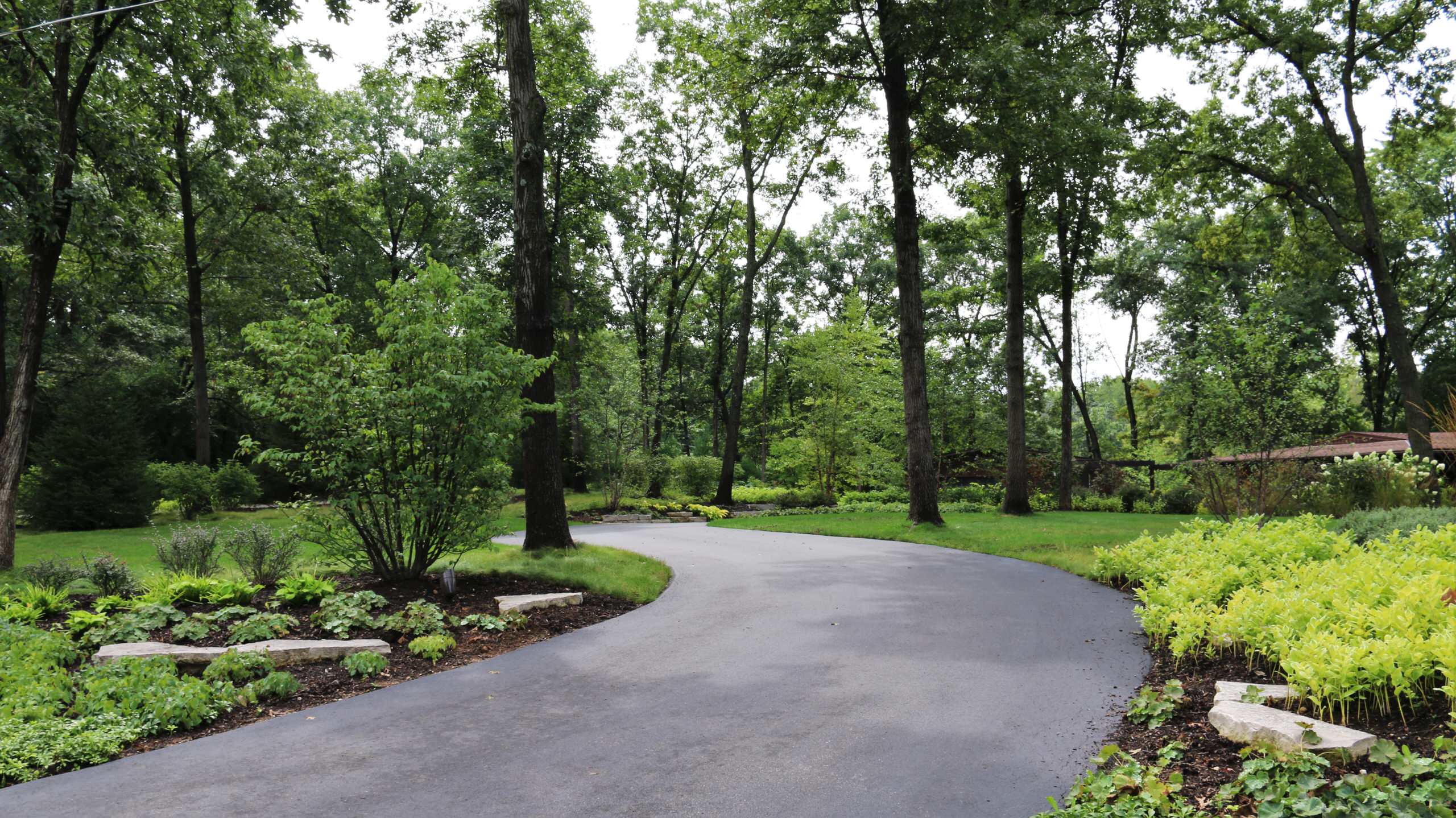 Wooded Lot Landscaping Ideas Houzz