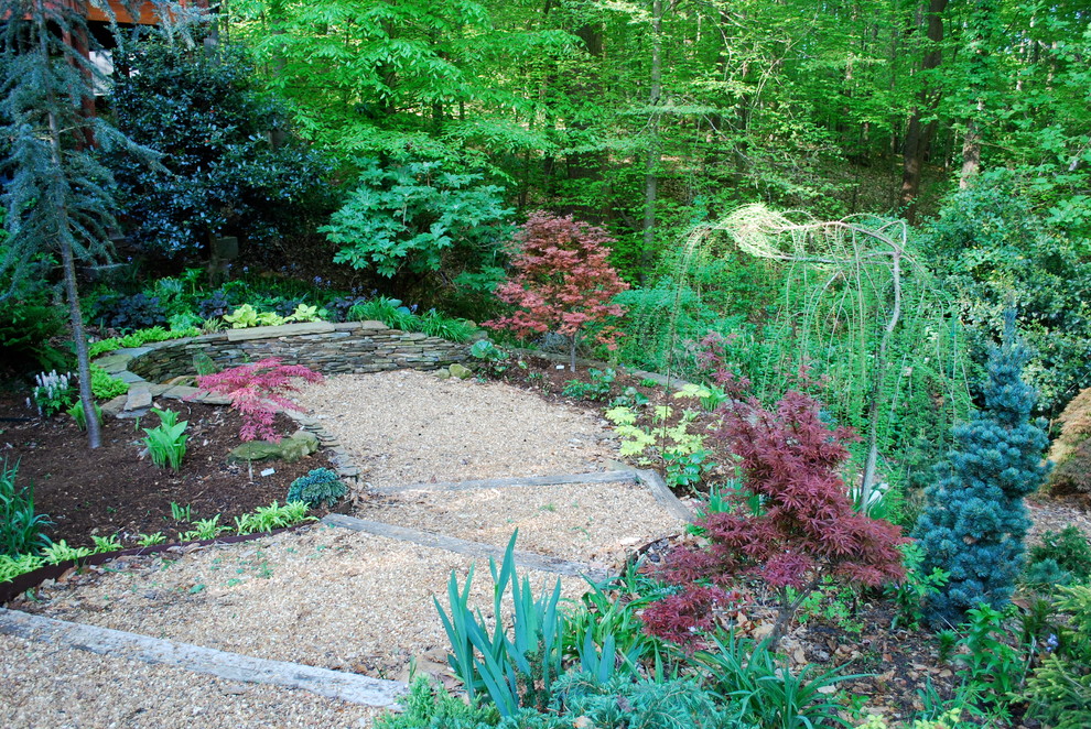 Photo of a classic front garden in Charlotte with gravel.
