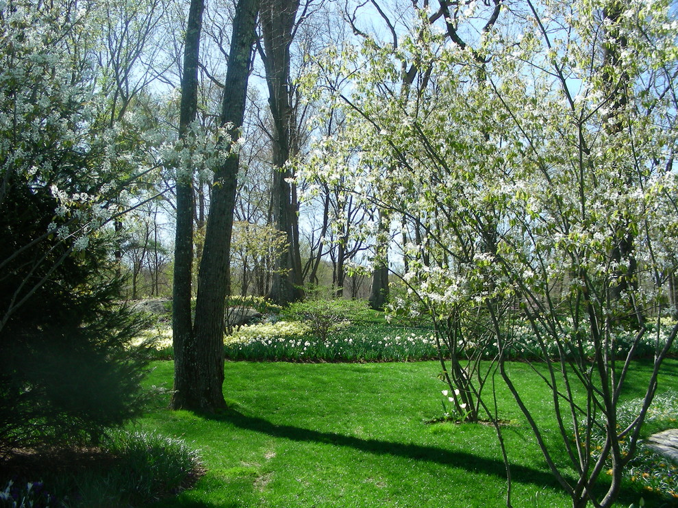Стильный дизайн: большой регулярный сад на заднем дворе в классическом стиле с полуденной тенью - последний тренд