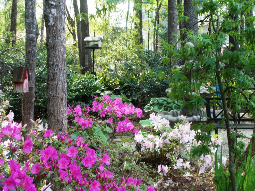 Cette image montre un jardin traditionnel au printemps.
