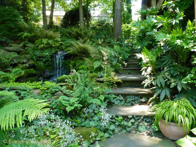 This is an example of an eclectic garden in Charlotte.