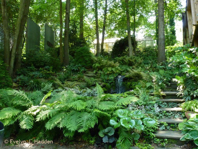 Foto på en eklektisk trädgård