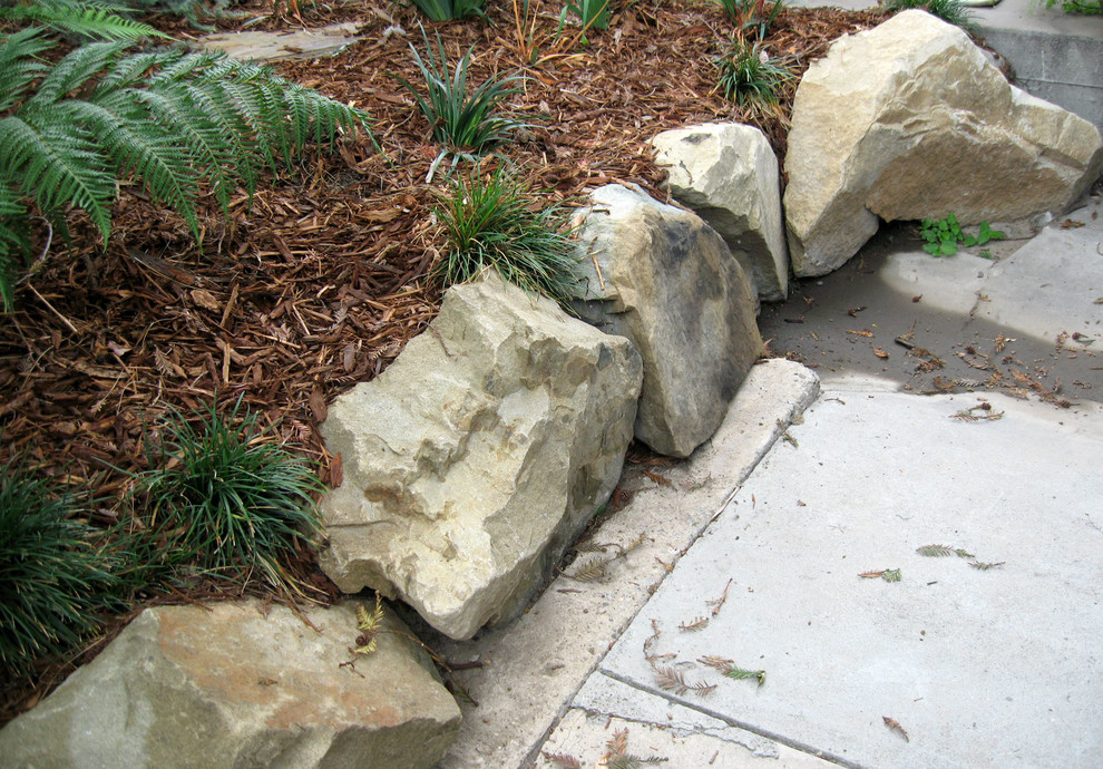Пример оригинального дизайна: маленький засухоустойчивый сад на заднем дворе в современном стиле с садовой дорожкой или калиткой, полуденной тенью и покрытием из каменной брусчатки для на участке и в саду