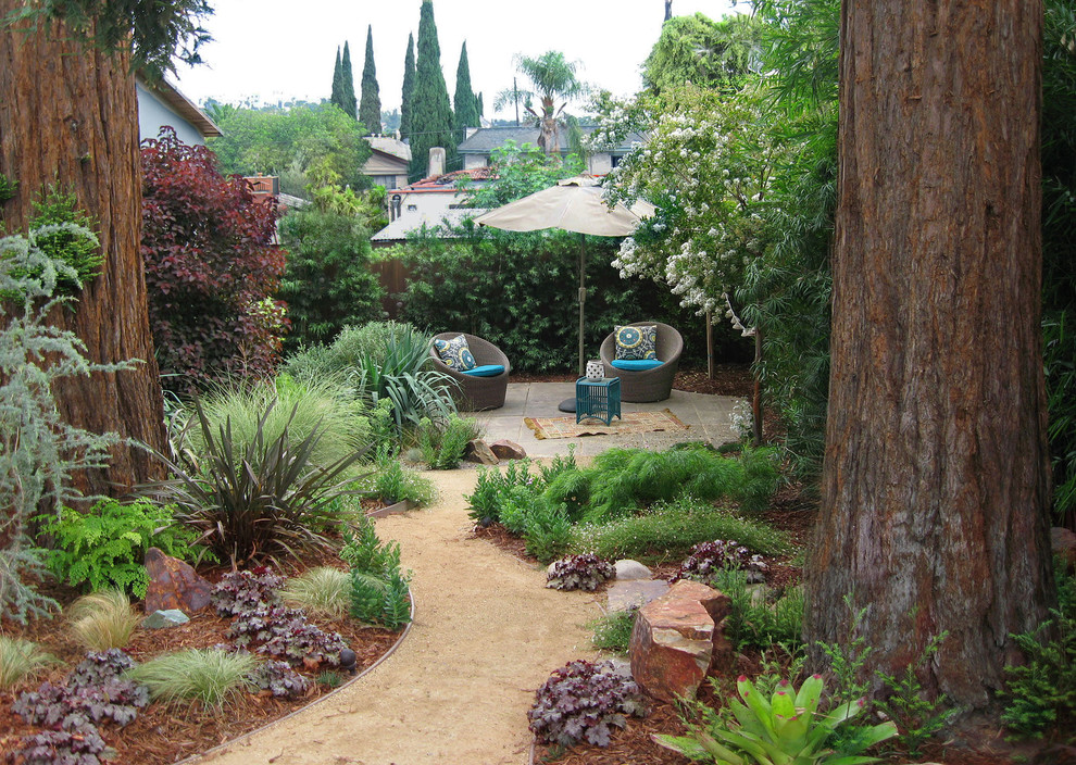 Kleiner, Halbschattiger Moderner Gartenweg hinter dem Haus in Los Angeles
