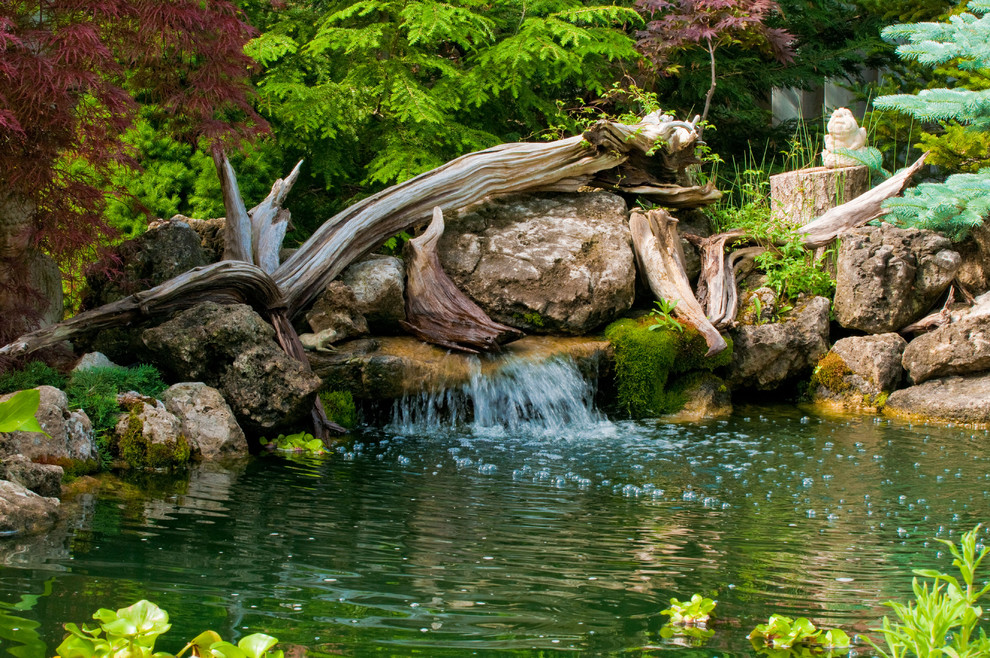 Ispirazione per un giardino tropicale con fontane