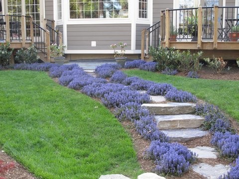 Photo of a large classic back fully shaded garden for spring in DC Metro with a garden path.