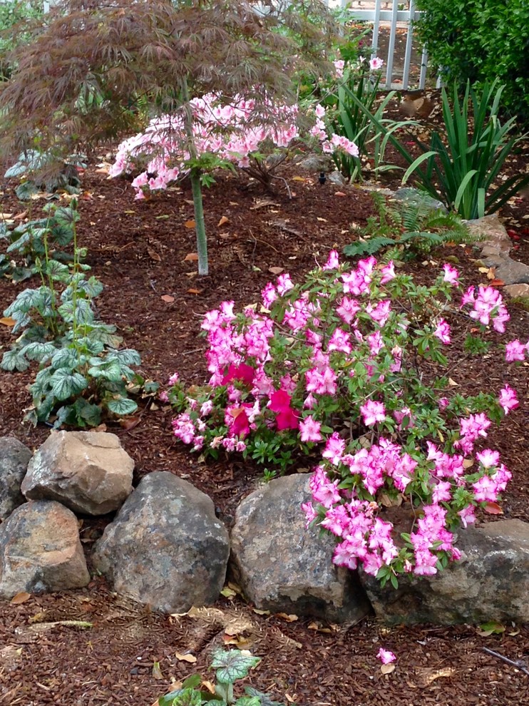 Design ideas for a mid-sized rustic shade front yard mulch landscaping in San Francisco for spring.