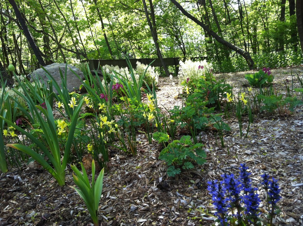 Woodland Garden with Spring Bulbs - Contemporary - Landscape - Boston ...