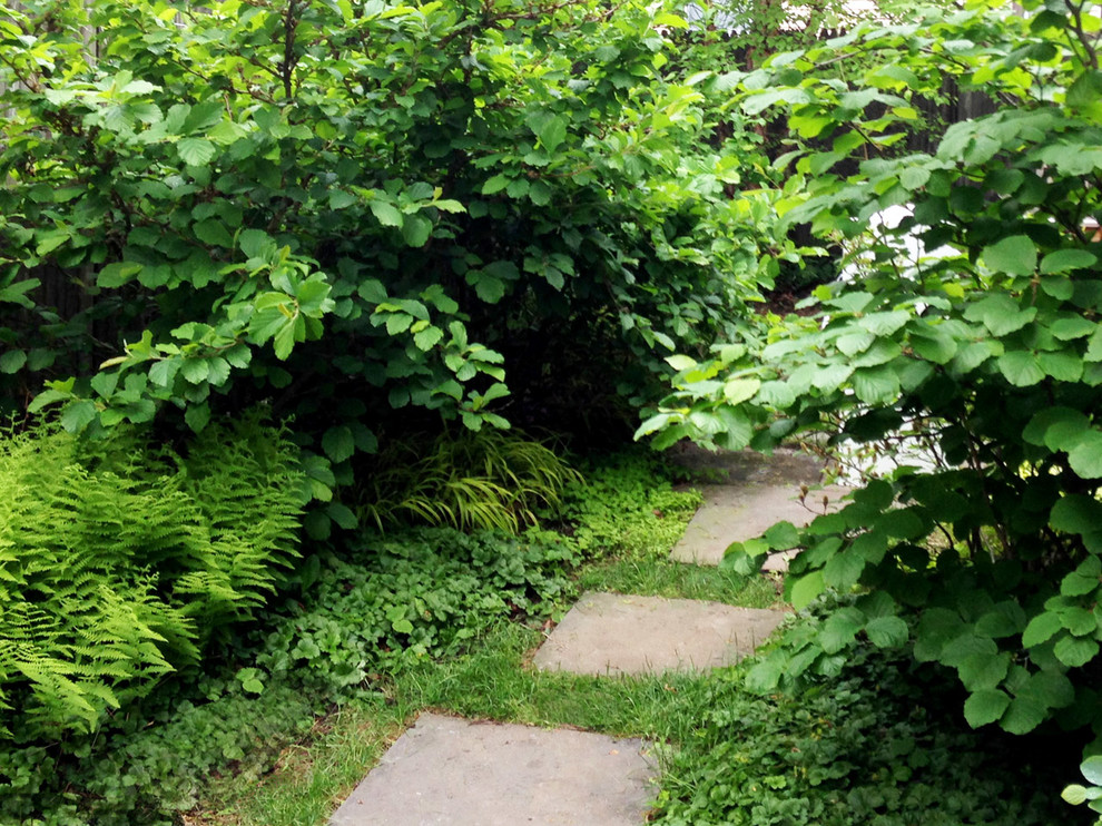Cette image montre un petit jardin latéral minimaliste l'été avec une exposition partiellement ombragée et des pavés en béton.