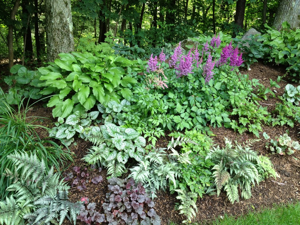 Esempio di un giardino classico in ombra di medie dimensioni in estate con un pendio, una collina o una riva