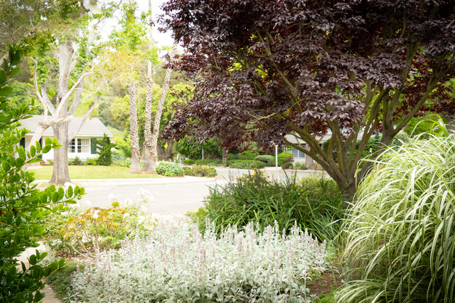 Woodland Midcentury Garden Santa Barbara By Sweet Smiling Landscapes Houzz Uk