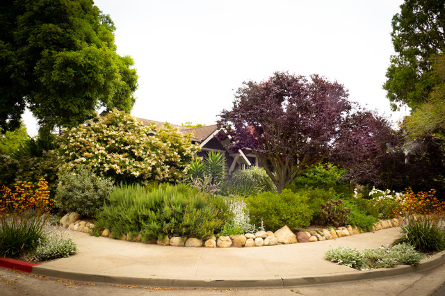 Woodland Midcentury Garden Santa Barbara By Sweet Smiling Landscapes Houzz Au