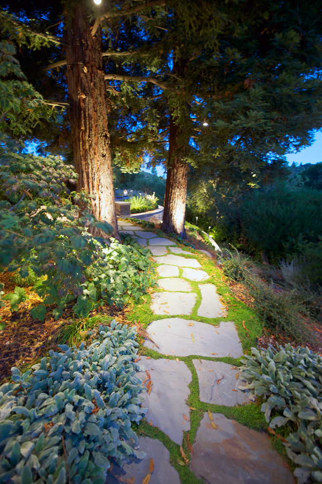 Пример оригинального дизайна: регулярный сад среднего размера на заднем дворе в классическом стиле с садовой дорожкой или калиткой и покрытием из каменной брусчатки